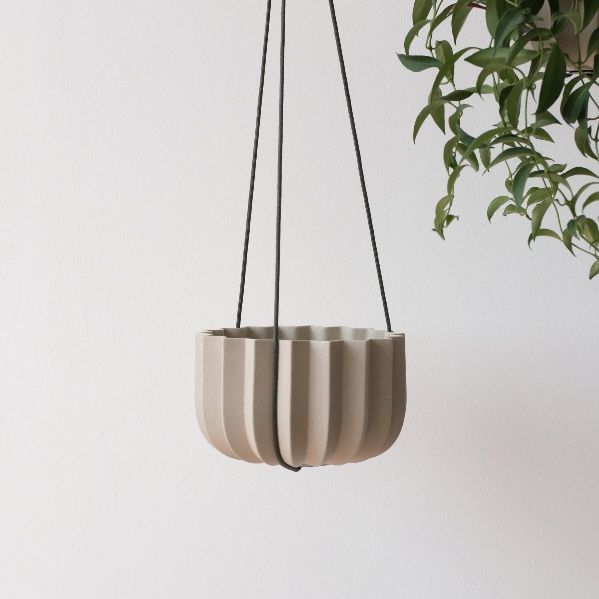 Misewell Wrap Planter Hanging Kit | Paracord & Titanium Plant Hanger for Misewell Wrap Planters