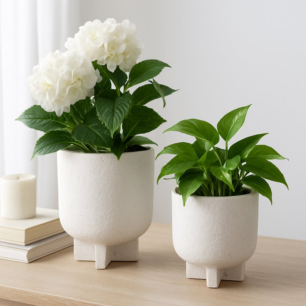 Sagebrook Home Modern Footed Cement Pots in White, Set of 2