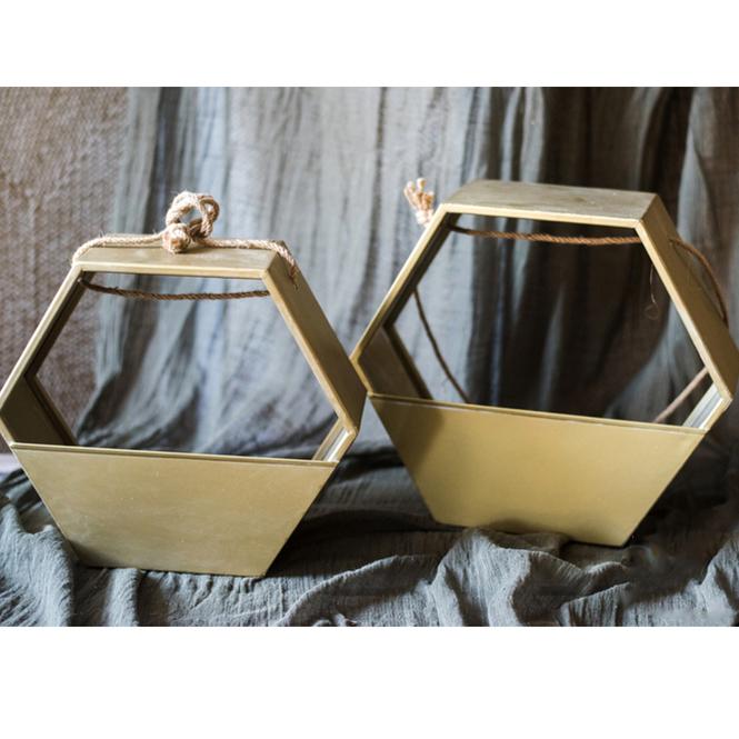 
                      
                        RusticReach Modern Gold Metal Hexagon Hanging Planter - lily & onyx
                      
                    