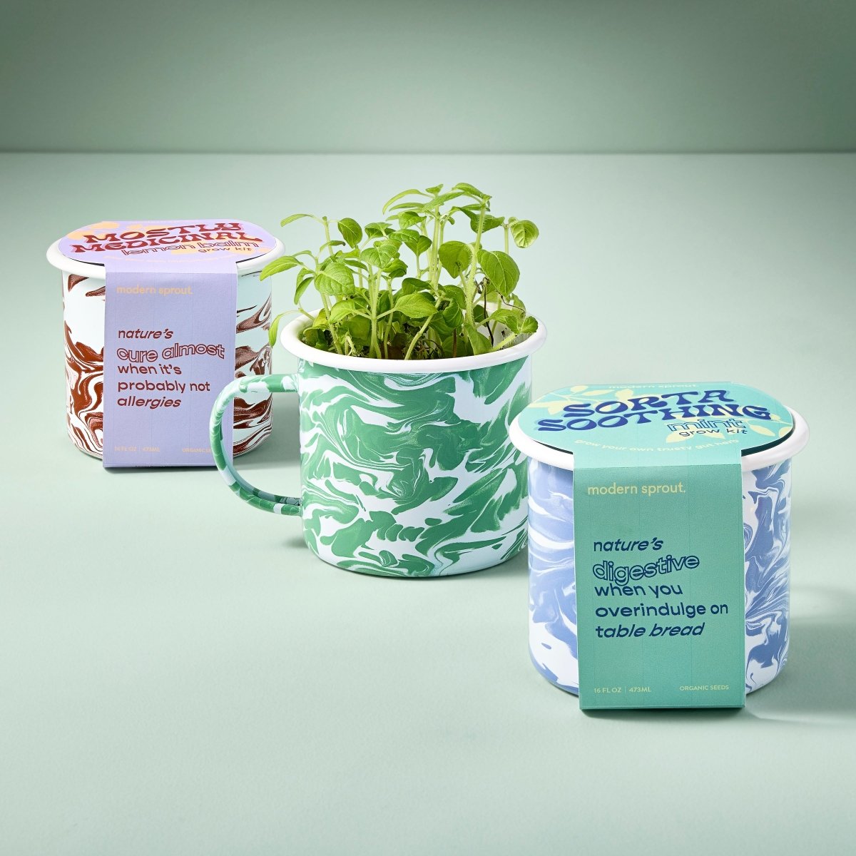 Modern Sprout Altered Herb Mug Grow Kits