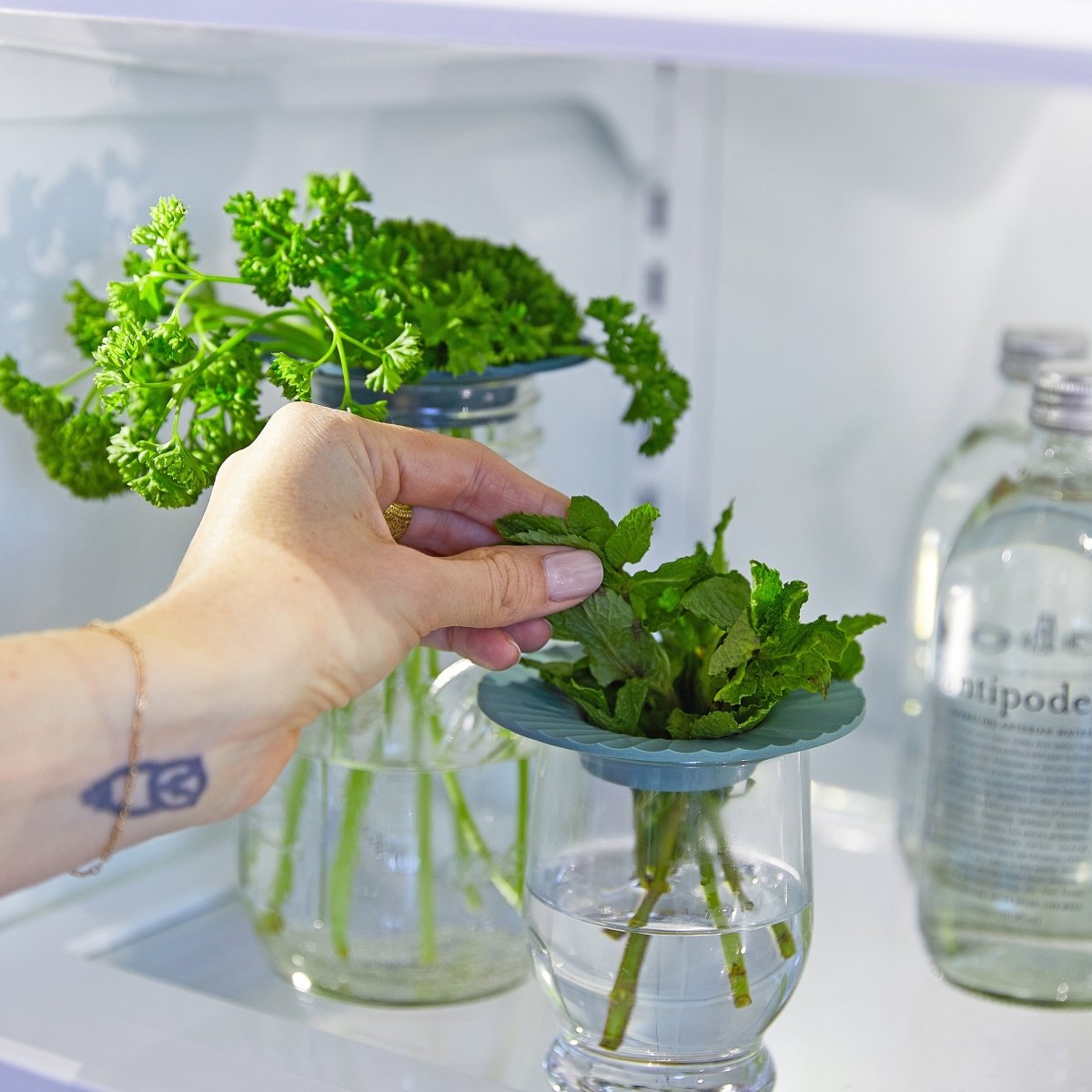 Modern Sprout Bamboo Herb Keeper Set of 2 - Fresh Produce Storage Propagation