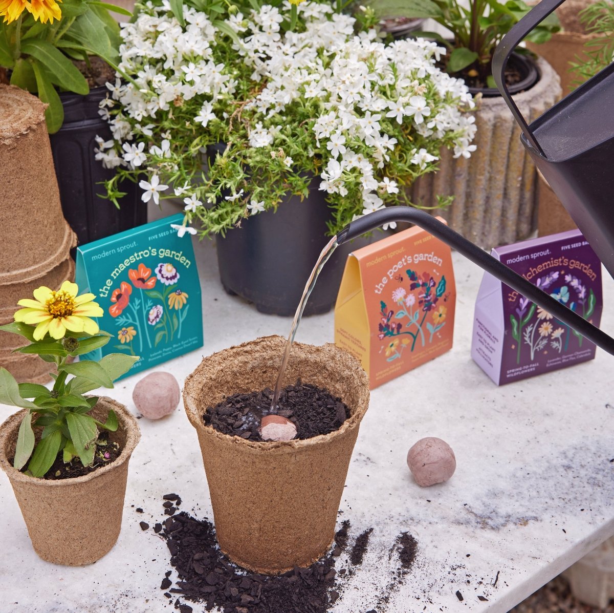seed bomb planting Bespoke Blooms Seed Balls - Wildflower Seed Bombs for Easy Planting