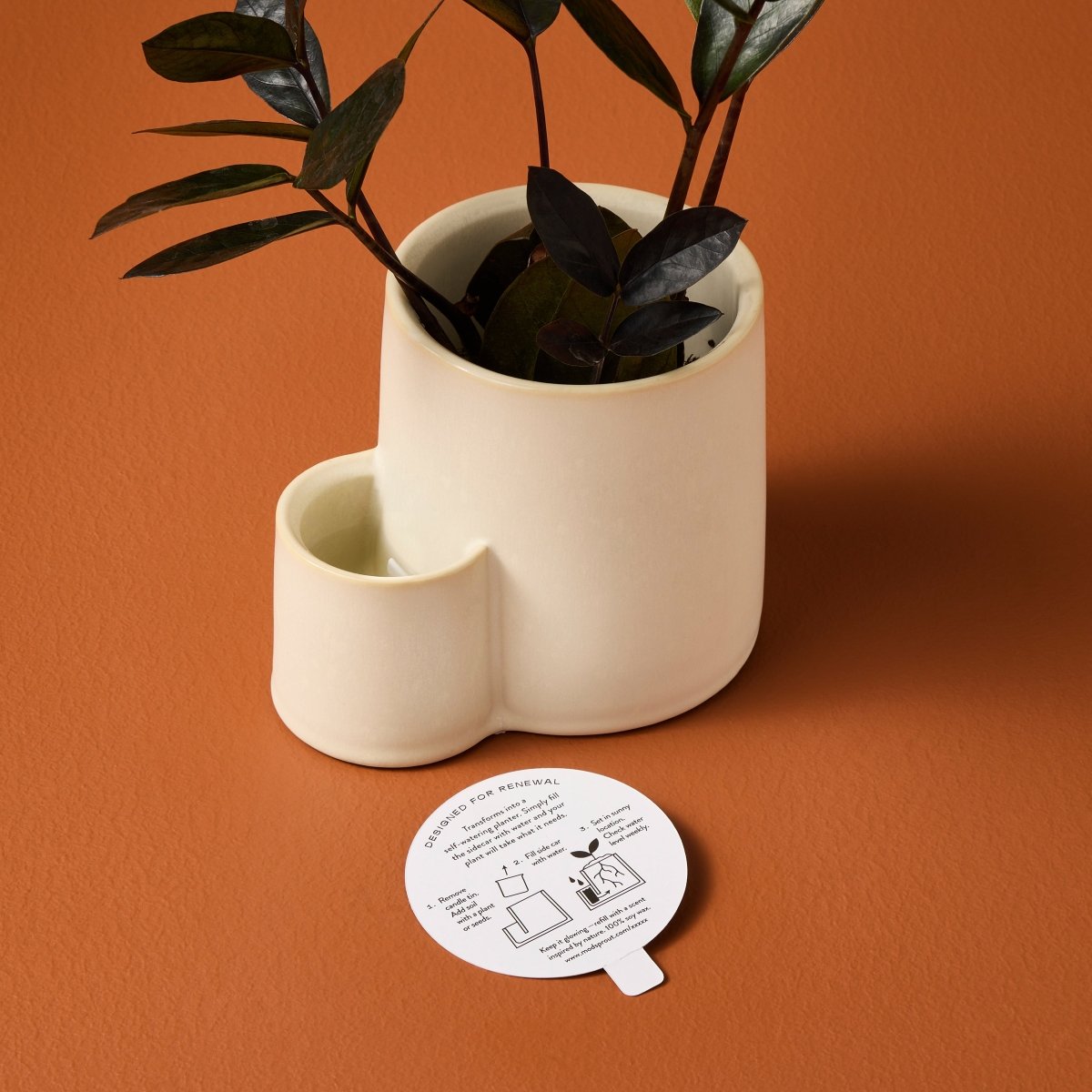 candle to plant pot Ember Earth Candle + Planter Photosynthesis / Candle Refill Only