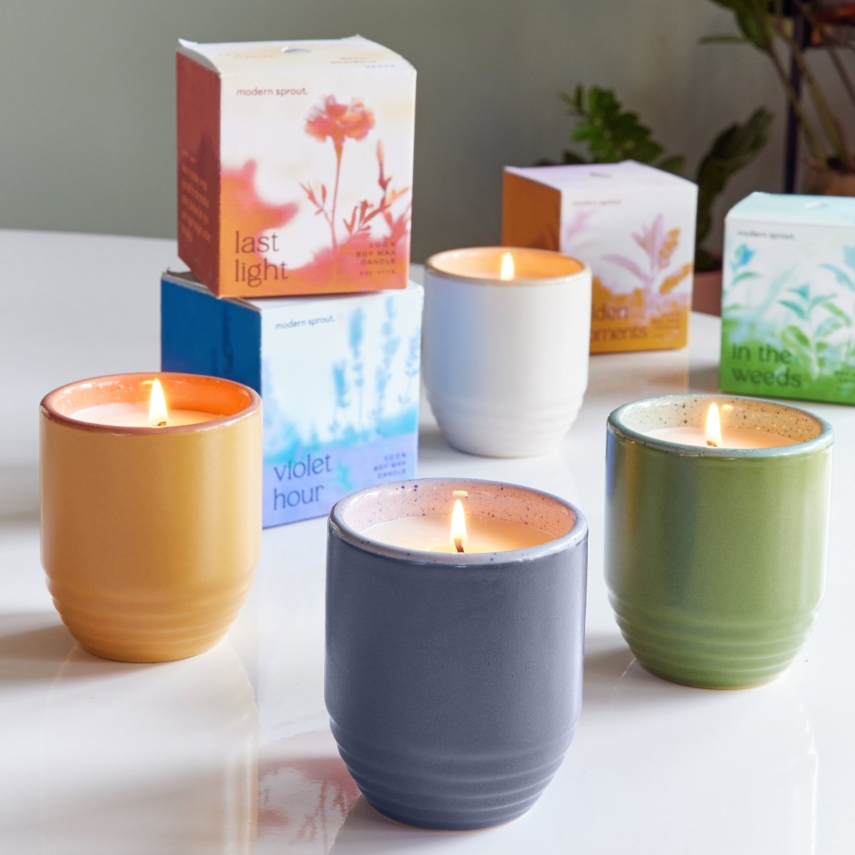 Modern Sprout Garden Vibes 2 - in - 1 Candle and Planter