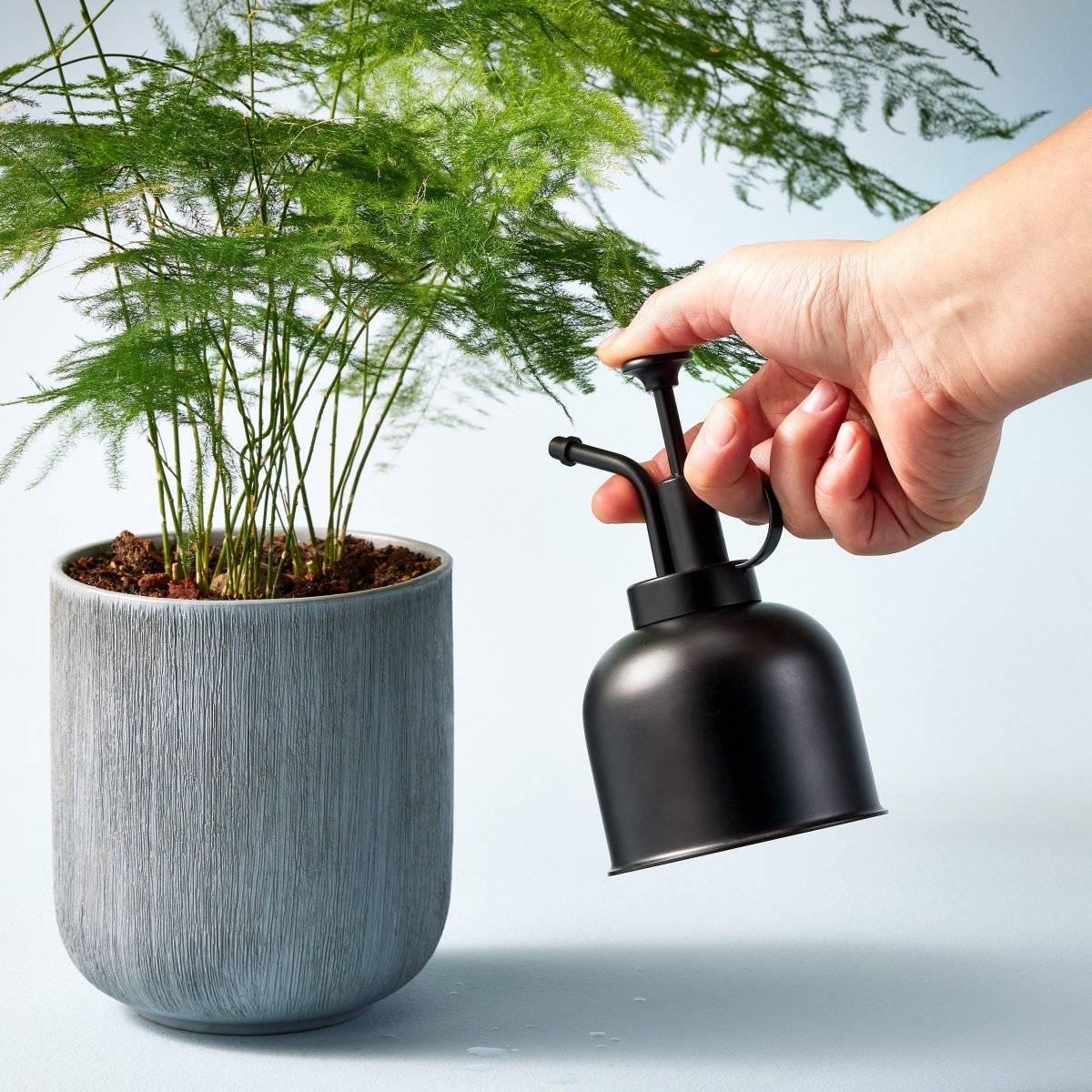 Modern Sprout Modern Sprout Plant Mister - 8 oz Glass Spray Bottle for Indoor Plants