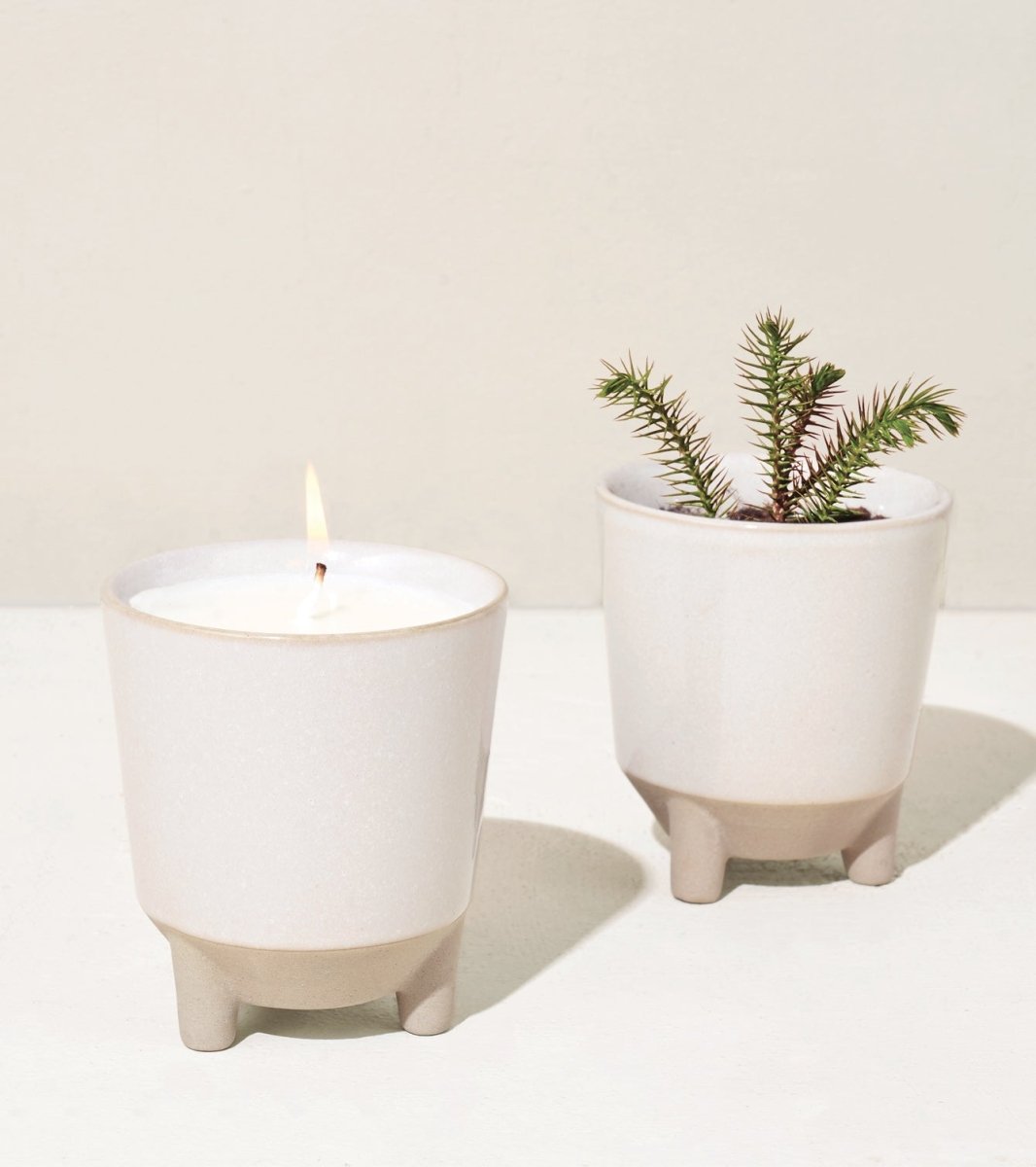 Modern Sprout Scented Soy Candle Planter Kit - 12oz Reusable Ceramic Grow Kit