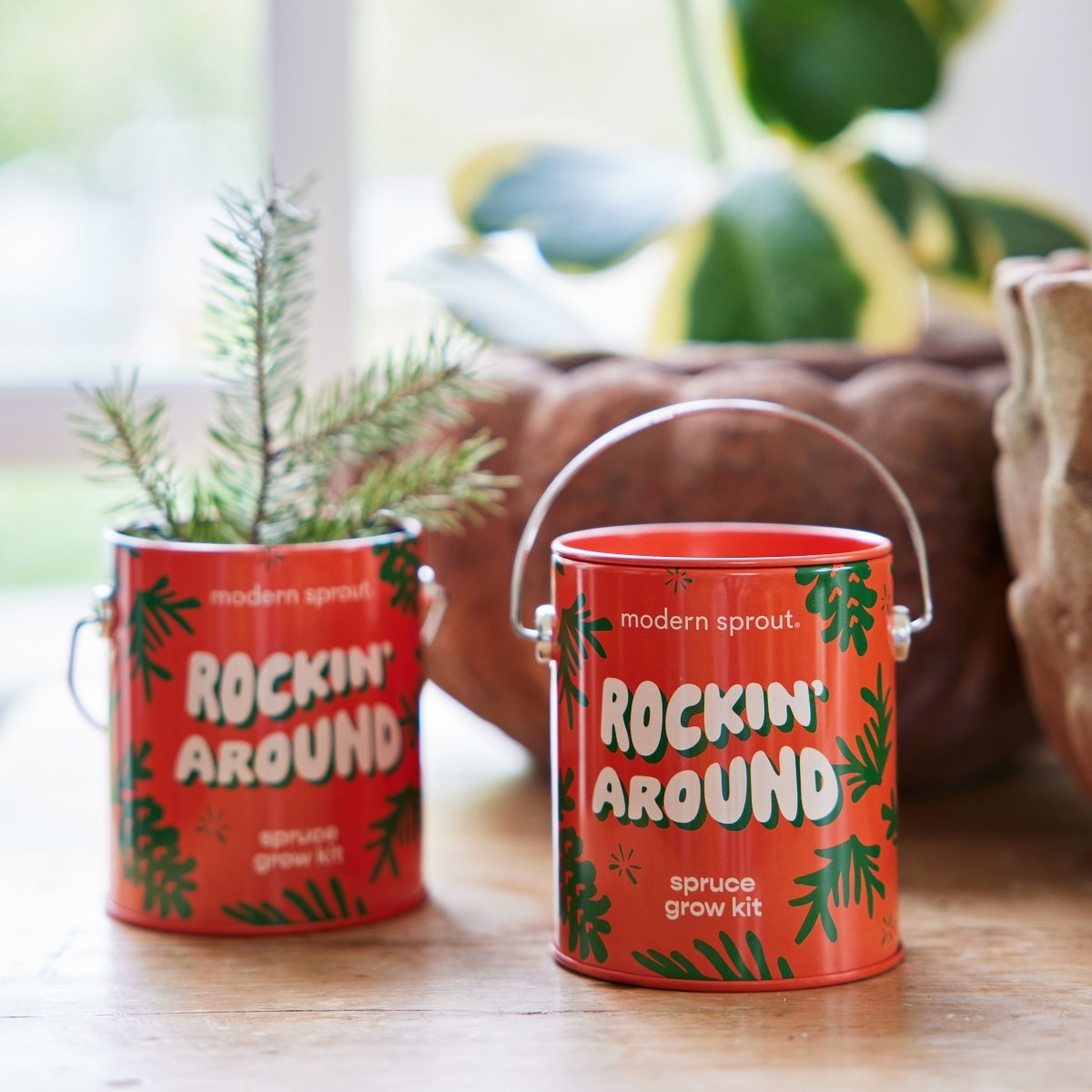 Modern Sprout Seasonal Complimentary Colors Grow Kits