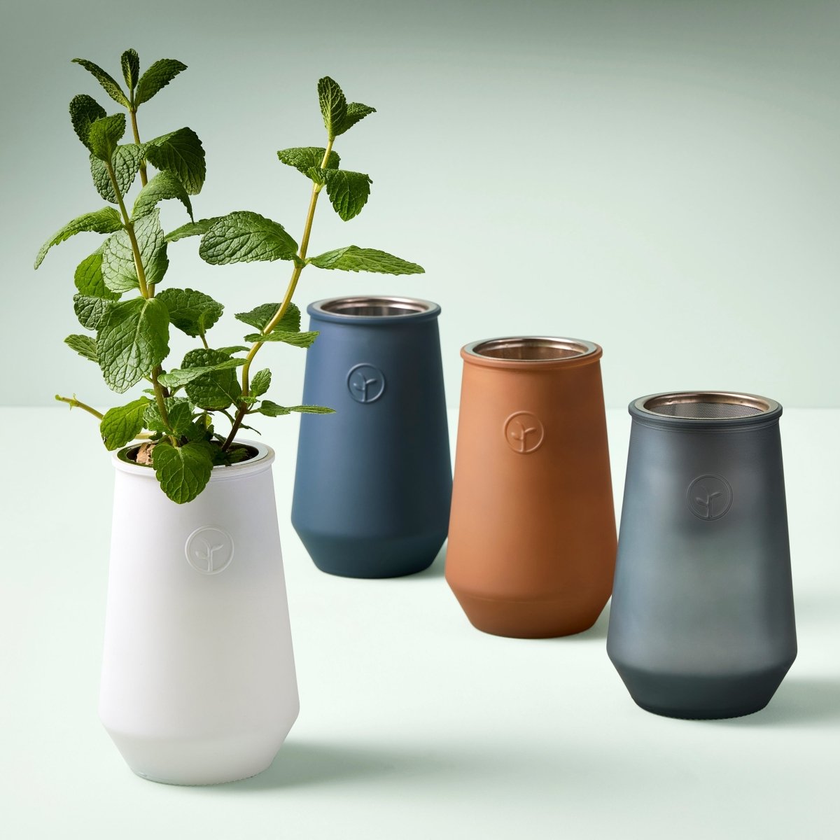 self watering herb planter indoor Modern Sprout Tapered Tumbler Grow Kit