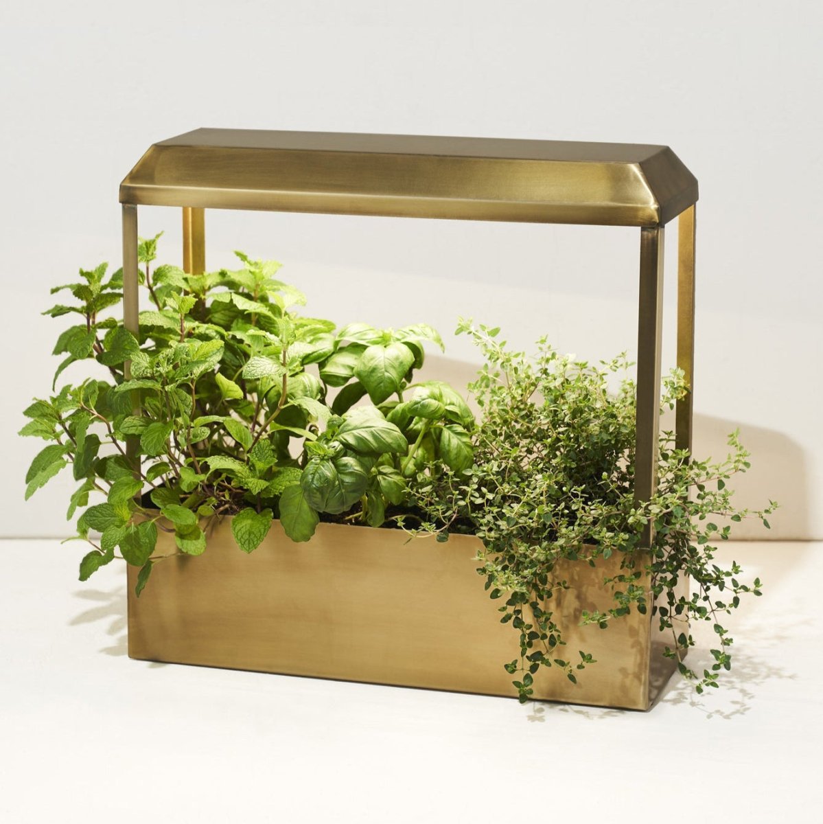 indoor plant light system Smart Growhouse Brass
