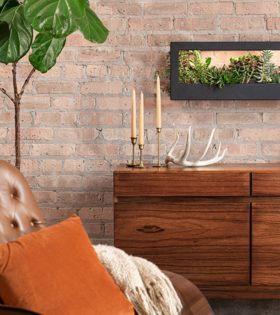 Modern Sprout Smart LED Grow Light Frame - Full Spectrum Wall Mount 32"