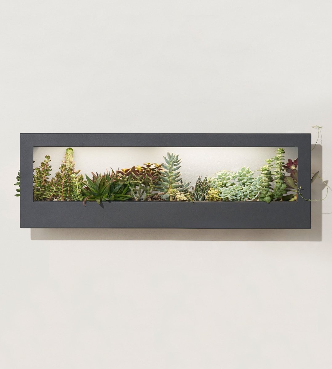 plant spectrum 32 grow light Modern Sprout Smart Landscape Growframe