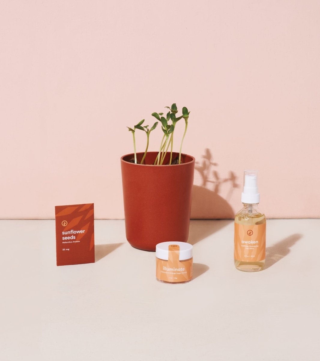 Modern Sprout Sunflower Grow Kit Gift Set - Botanical Self Care & Face Mist