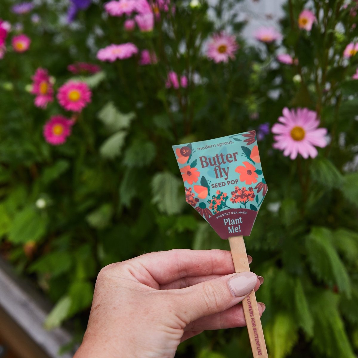 wildflower seed sprouts Pollinator Seed Pop