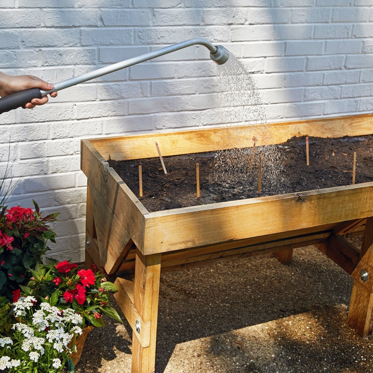 wildflower seed pops Pollinator Seed Pop