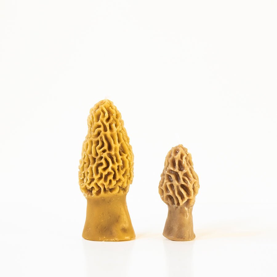 Happy Organics Morel Mushroom Beeswax Candle - lily & onyx