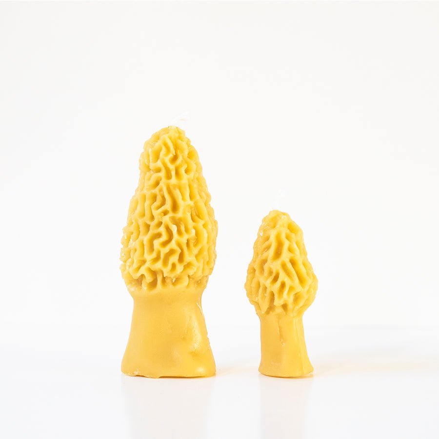 Happy Organics Morel Mushroom Beeswax Candle - lily & onyx