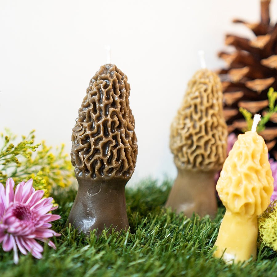 
                      
                        Happy Organics Morel Mushroom Beeswax Candle - lily & onyx
                      
                    
