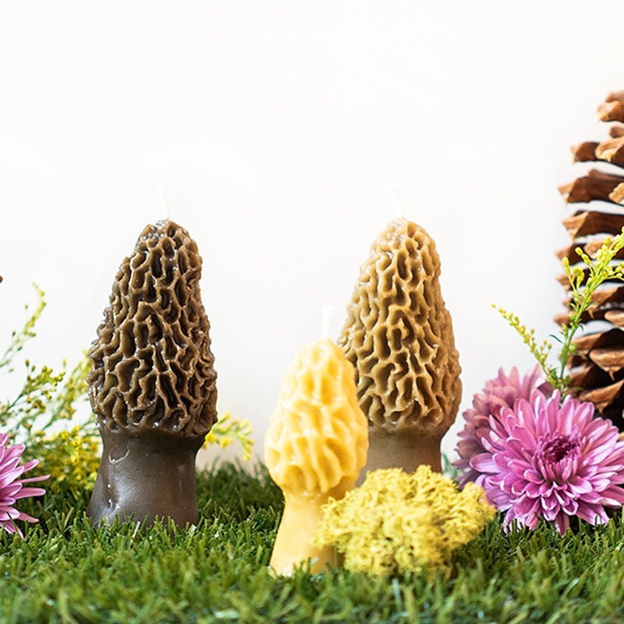 
                      
                        Happy Organics Morel Mushroom Beeswax Candle - lily & onyx
                      
                    