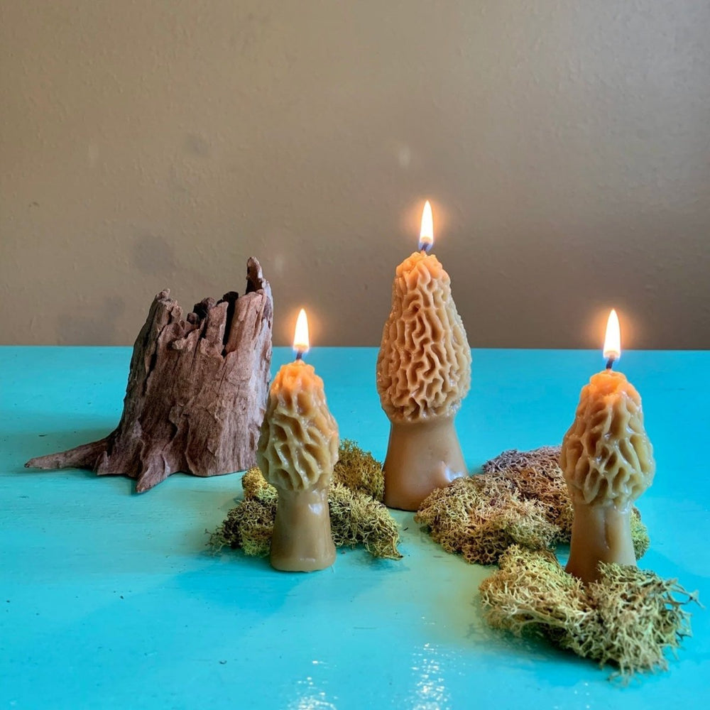 
                      
                        Happy Organics Morel Mushroom Beeswax Candle - lily & onyx
                      
                    