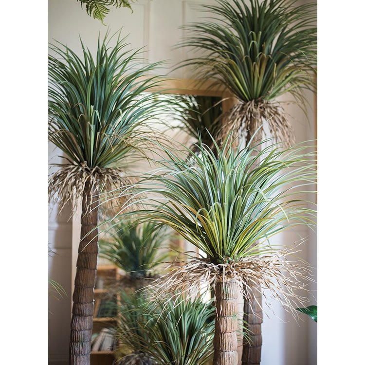 
                      
                        RusticReach Moroccan Artificial Palm Tree In Pot - lily & onyx
                      
                    