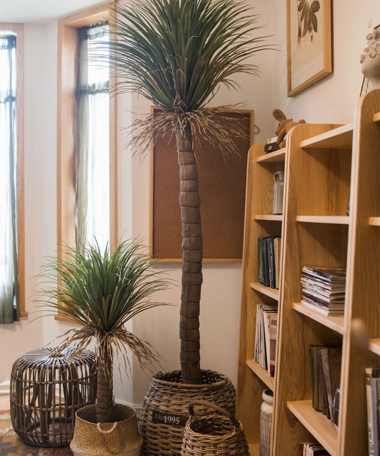 
                      
                        RusticReach Moroccan Artificial Palm Tree In Pot - lily & onyx
                      
                    