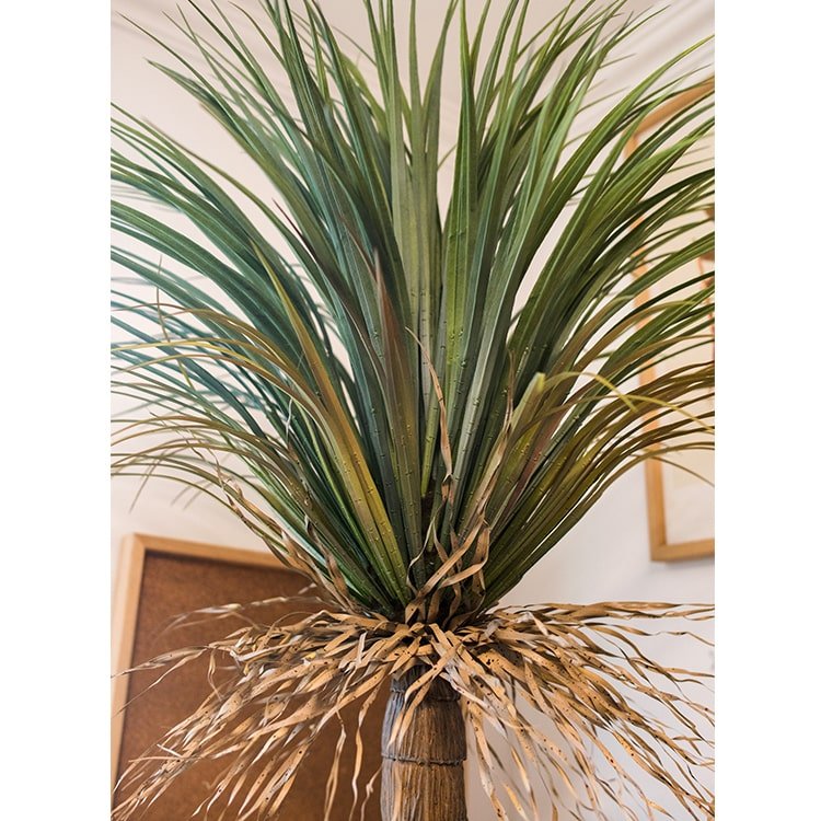 
                      
                        RusticReach Moroccan Artificial Palm Tree In Pot - lily & onyx
                      
                    