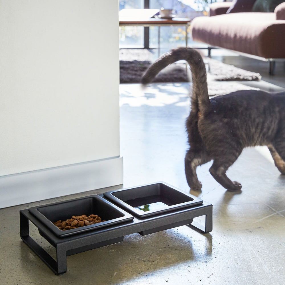
                      
                        Pet Food Bowl
                      
                    