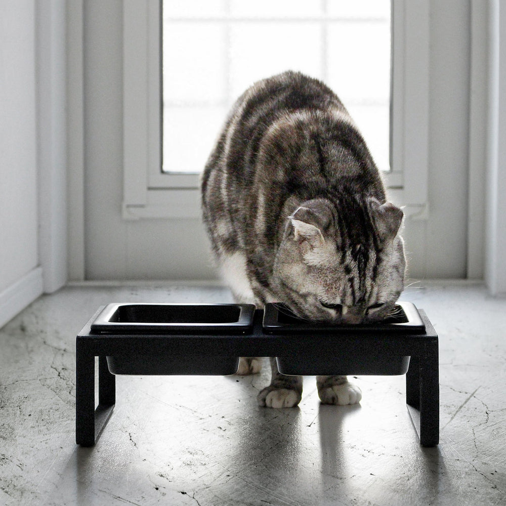 
                      
                        Pet Food Bowl
                      
                    