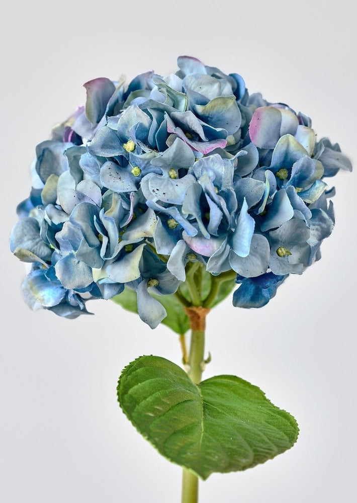 
                      
                        Afloral Nantucket Blue Real Touch Hydrangea, 18" - lily & onyx
                      
                    