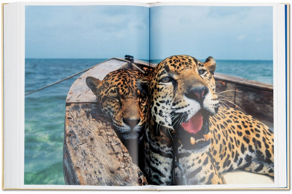 
                      
                        TASCHEN National Geographic. Around the World in 125 Years (English) - lily & onyx
                      
                    