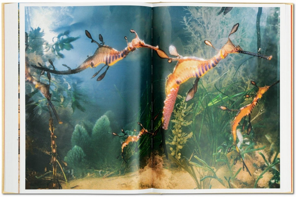 
                      
                        TASCHEN National Geographic. Around the World in 125 Years (English) - lily & onyx
                      
                    