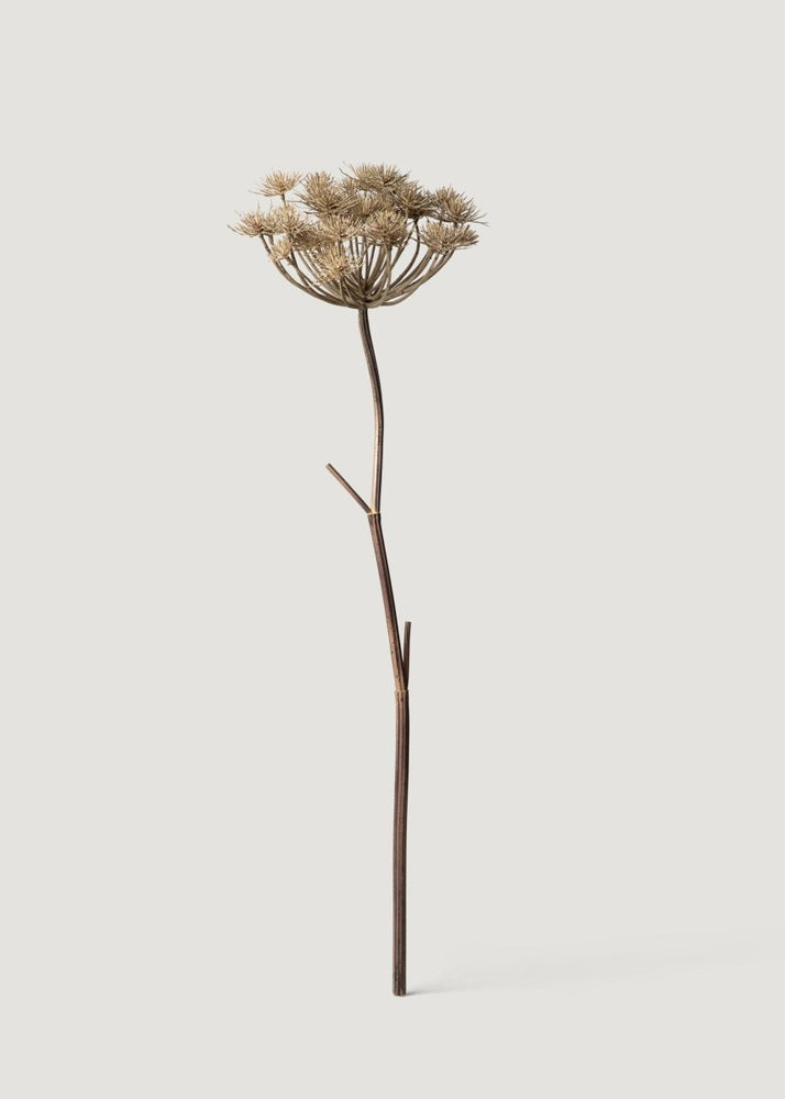 Afloral Natural Brown Artificial Wild Angelica Flower - 35.25" - lily & onyx