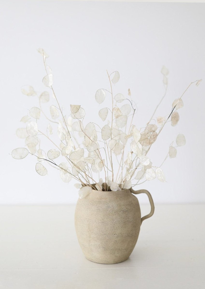 Afloral Natural Dried Lunaria Flowers, 24 - 34