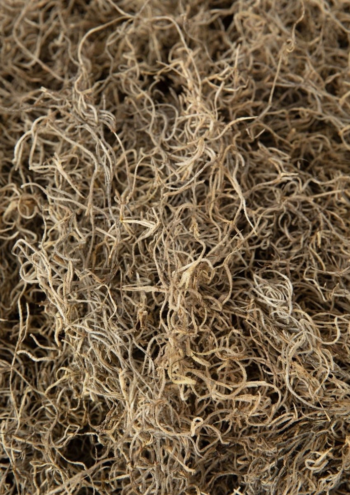 
                      
                        Afloral Natural Dried Spanish Moss - lily & onyx
                      
                    