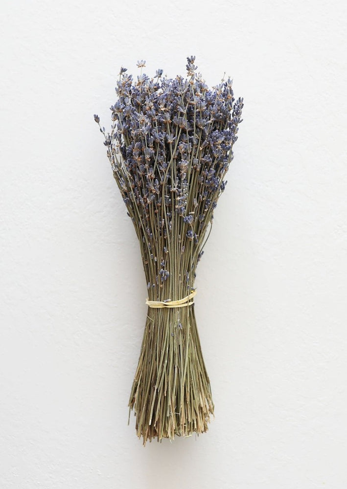 
                      
                        Afloral Natural Fragrant Dried Lavender Bundle, 6 - 14" - lily & onyx
                      
                    