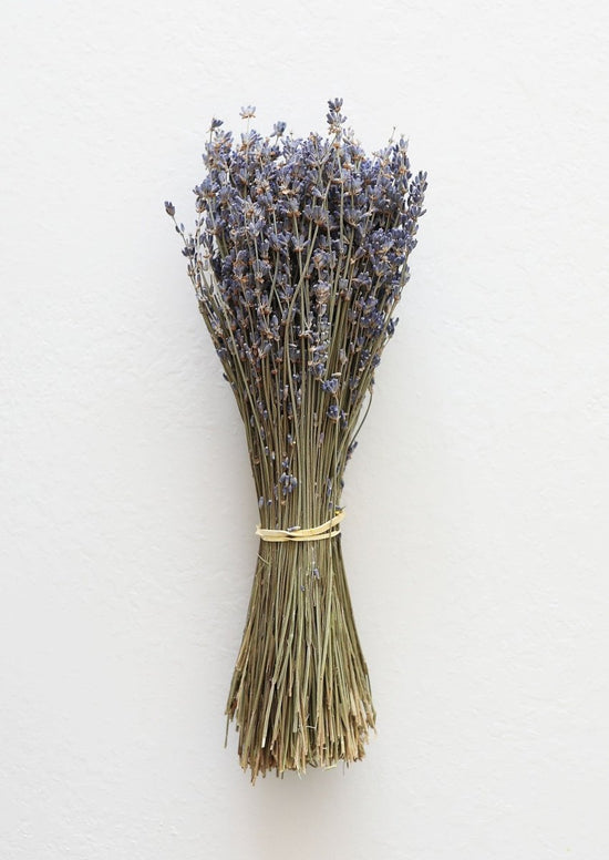 Afloral Natural Fragrant Dried Lavender Bundle, 6 - 14" - lily & onyx