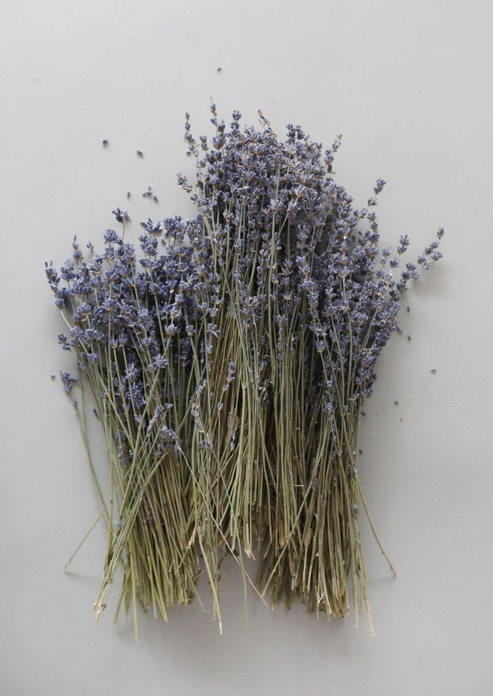 
                      
                        Afloral Natural Fragrant Dried Lavender Bundle, 6 - 14" - lily & onyx
                      
                    