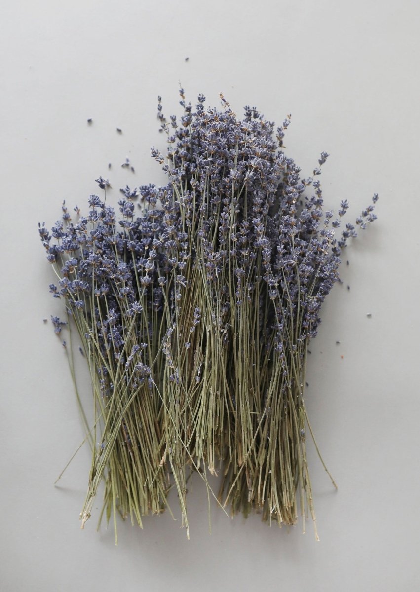 Afloral Natural Fragrant Dried Lavender Bundle, 6 - 14" - lily & onyx