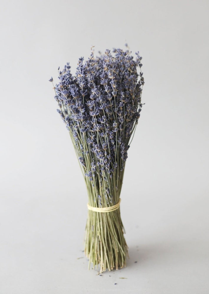 
                      
                        Afloral Natural Fragrant Dried Lavender Bundle, 6 - 14" - lily & onyx
                      
                    