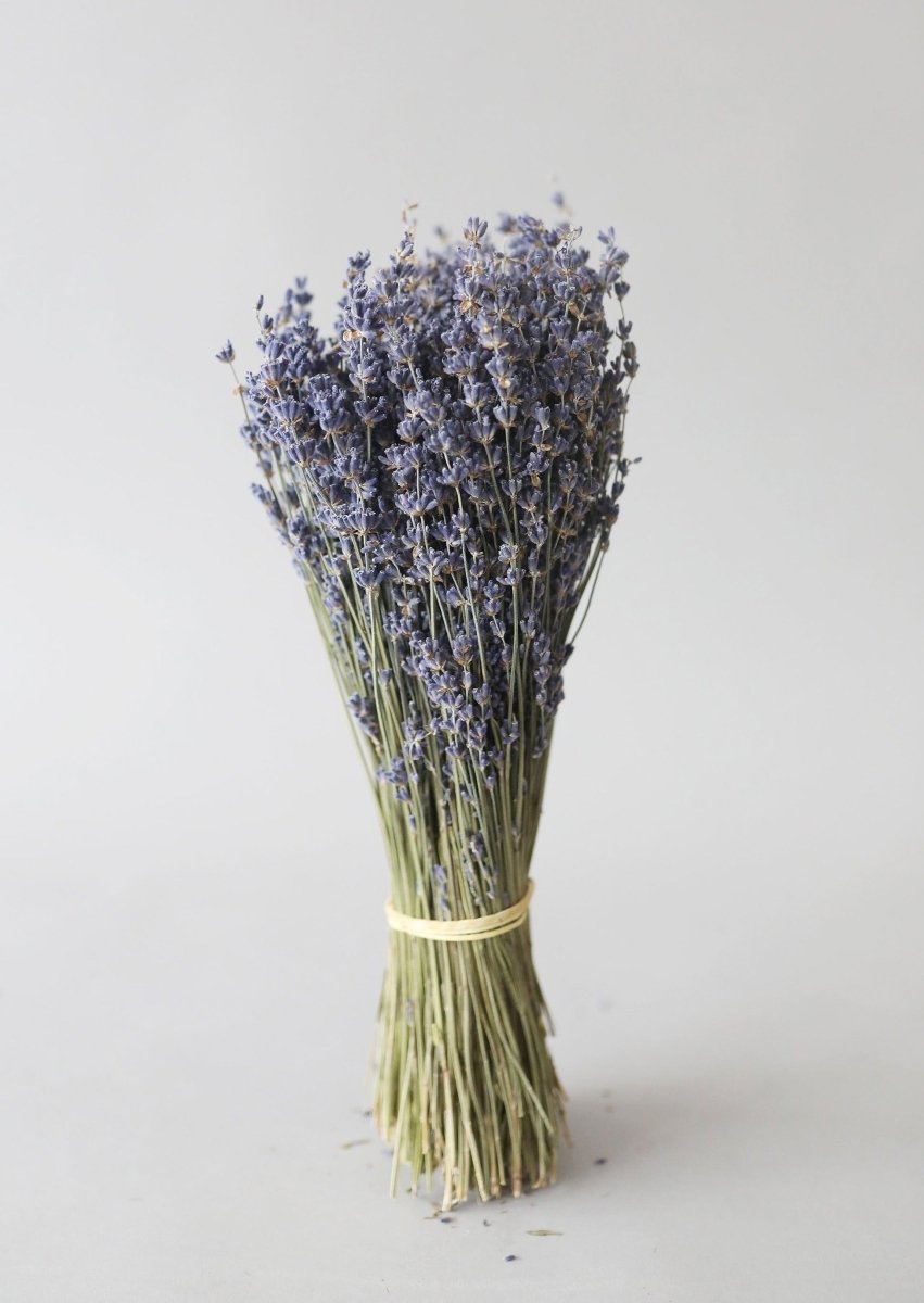 Afloral Natural Fragrant Dried Lavender Bundle, 6 - 14