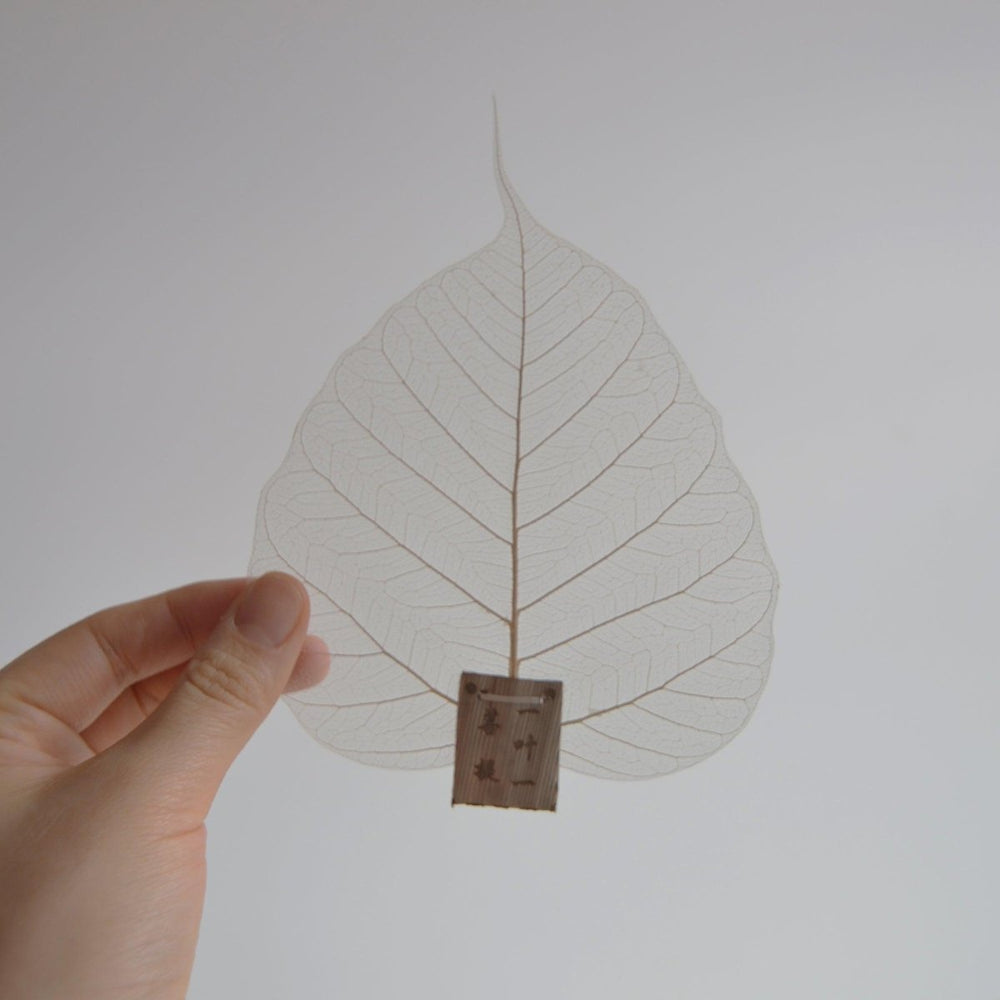 
                      
                        CEDAR AND MYRRH Natural Leaf Shape Tea Strainers - lily & onyx
                      
                    