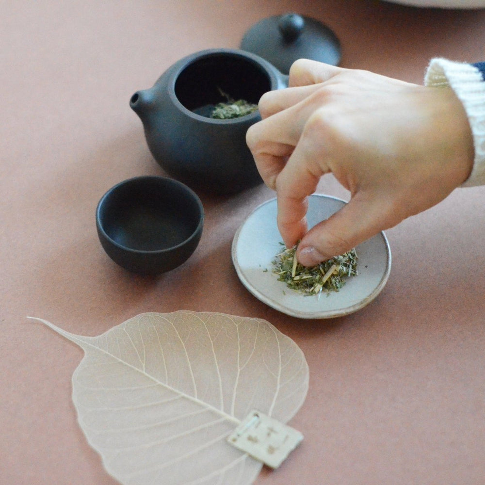 
                      
                        CEDAR AND MYRRH Natural Leaf Shape Tea Strainers - lily & onyx
                      
                    