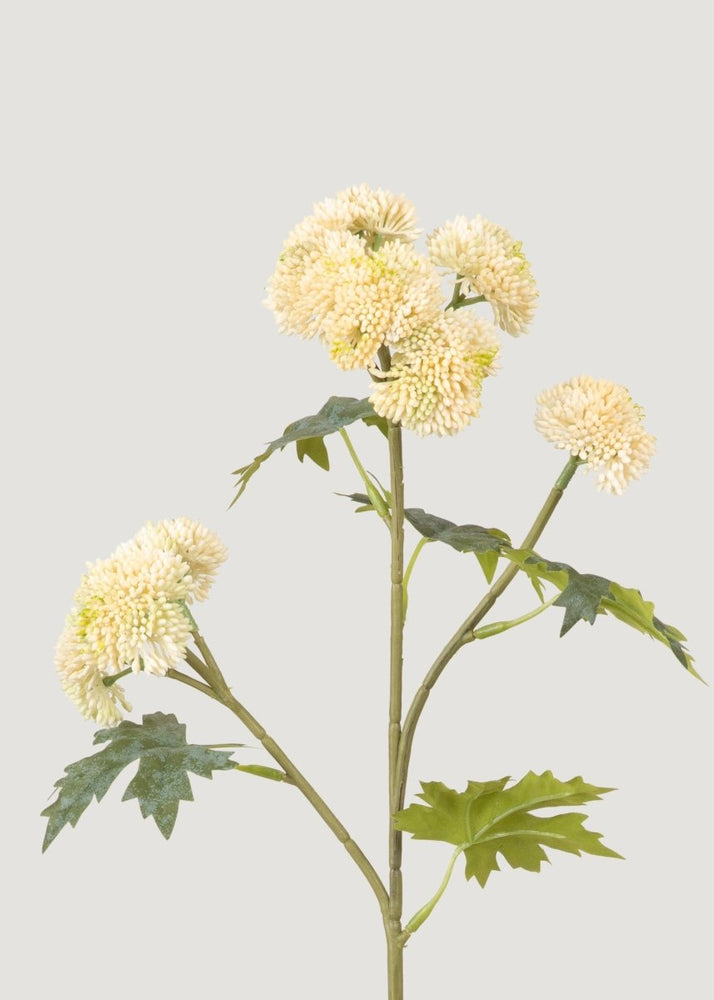 
                      
                        Afloral Natural Touch Fake Sedum Succulent Branch in Cream - 28" - lily & onyx
                      
                    