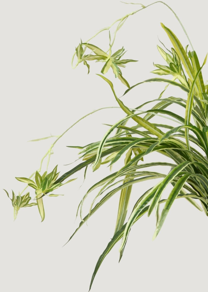 Afloral Natural Touch Fake Spider Plant - 32" - lily & onyx