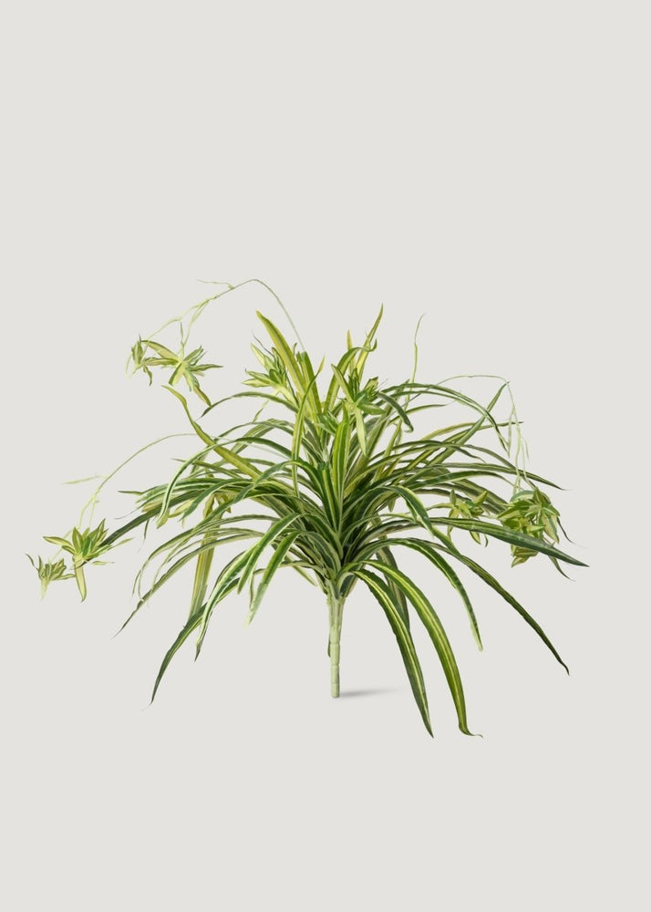 Afloral Natural Touch Fake Spider Plant - 32" - lily & onyx