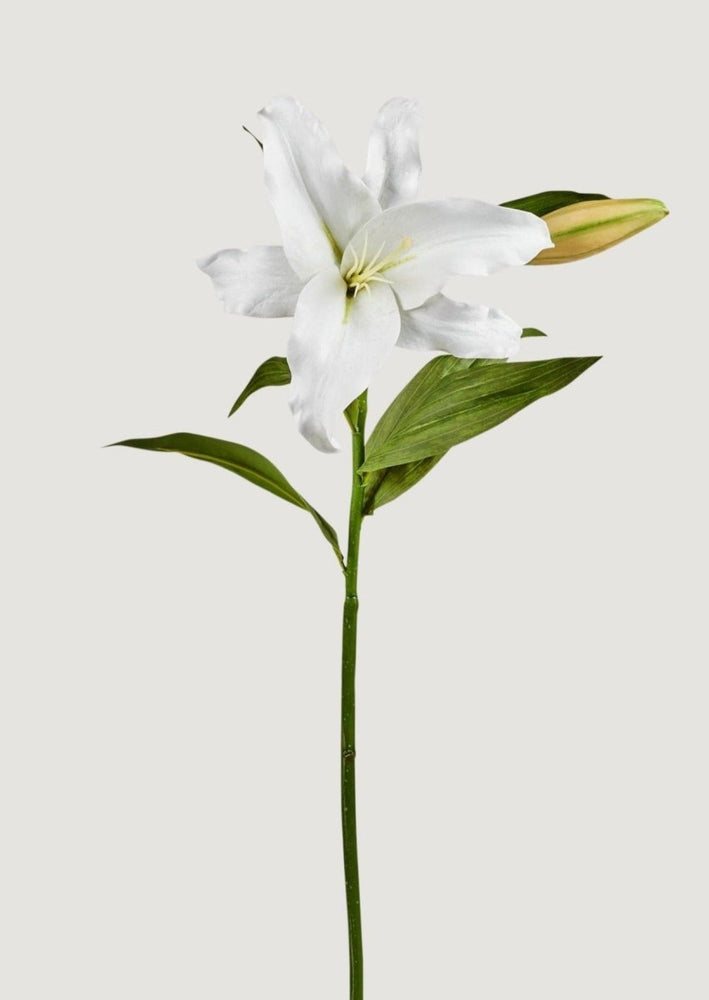 Afloral Natural Touch Faux Casablanca Lily Flower in White, 27" - lily & onyx