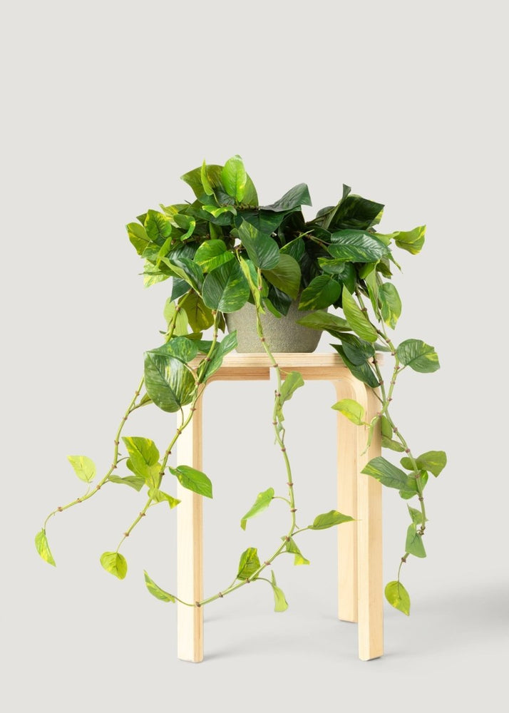 Afloral Natural Touch Pothos Artificial Plant - 48" - lily & onyx