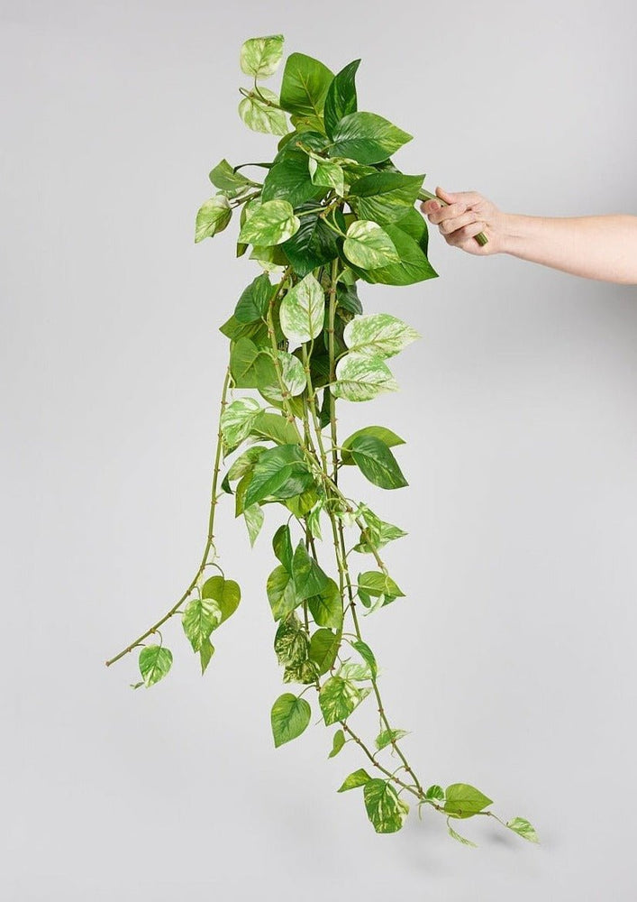 
                      
                        Afloral Natural Touch Pothos Artificial Plant - 48" - lily & onyx
                      
                    