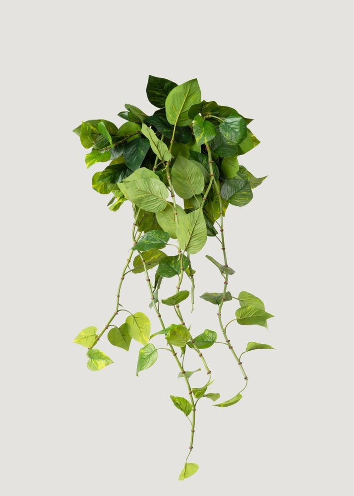 Afloral Natural Touch Pothos Artificial Plant - 48" - lily & onyx