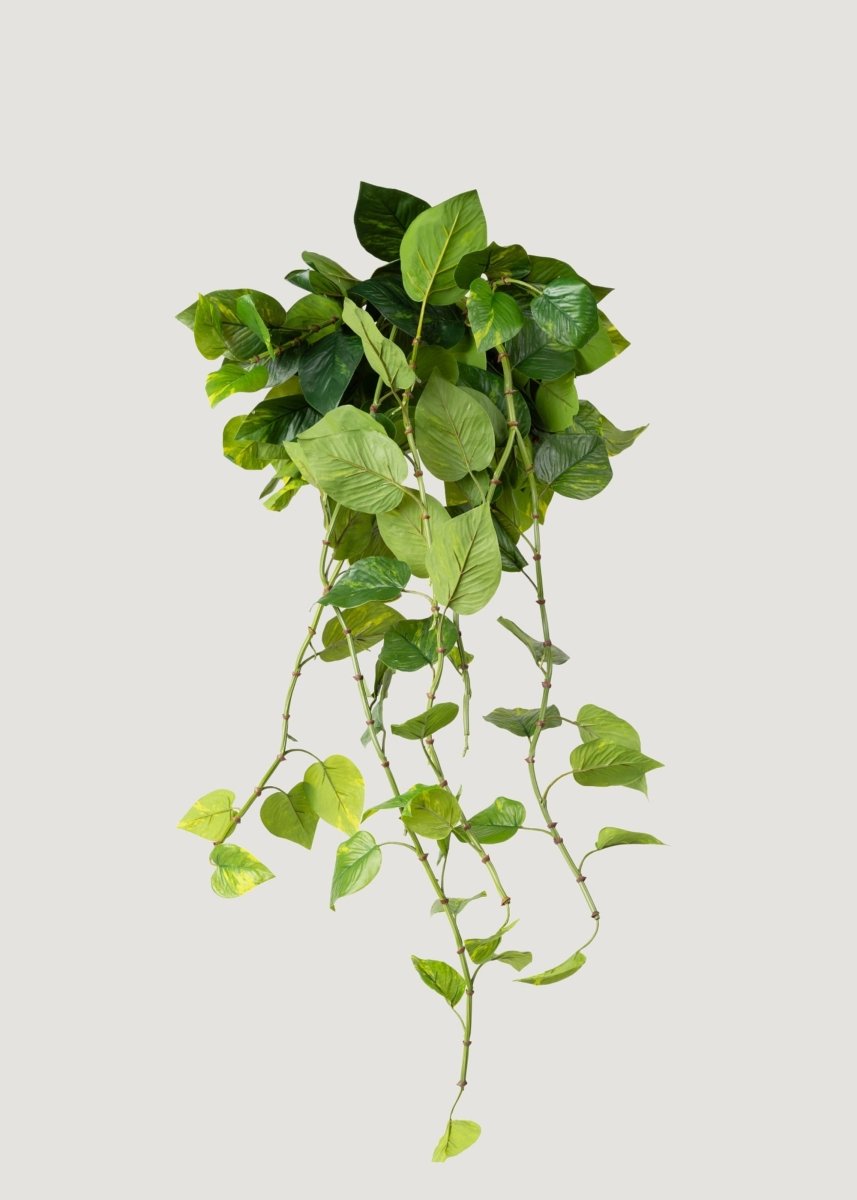 Afloral Natural Touch Pothos Artificial Plant - 48" - lily & onyx